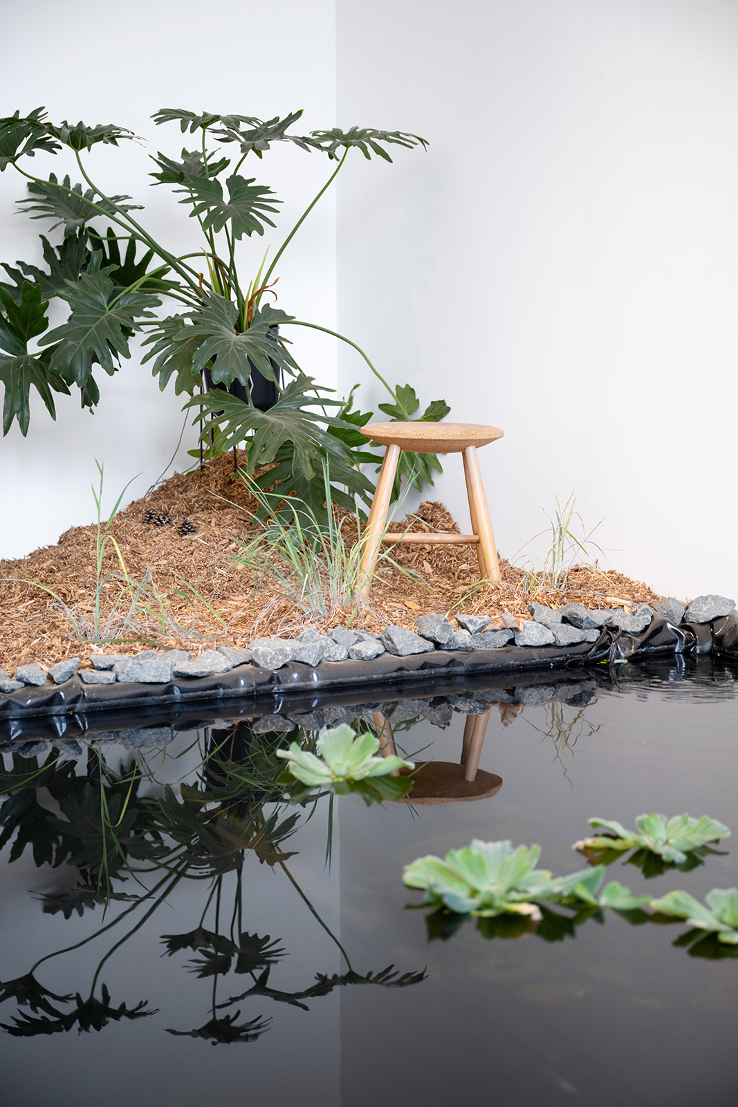 Refuge In The Water