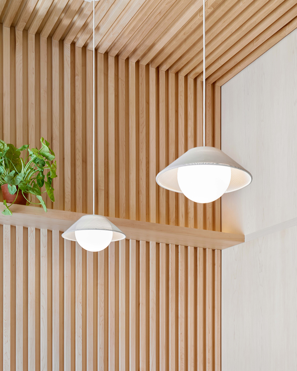 Picnic, Bloor Street