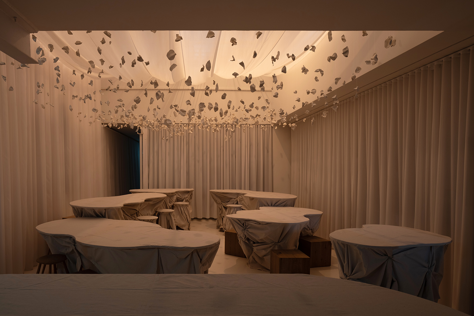 Nourish: Connecting Through Dumplings