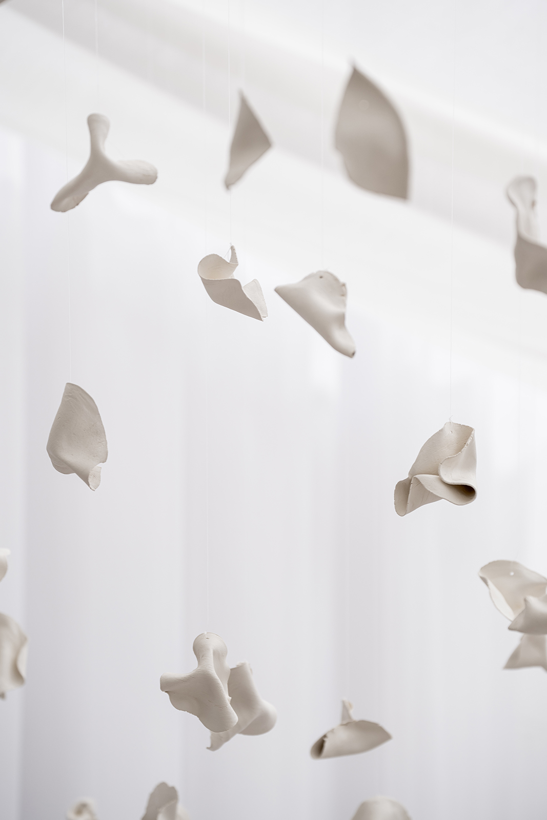 Nourish: Connecting Through Dumplings